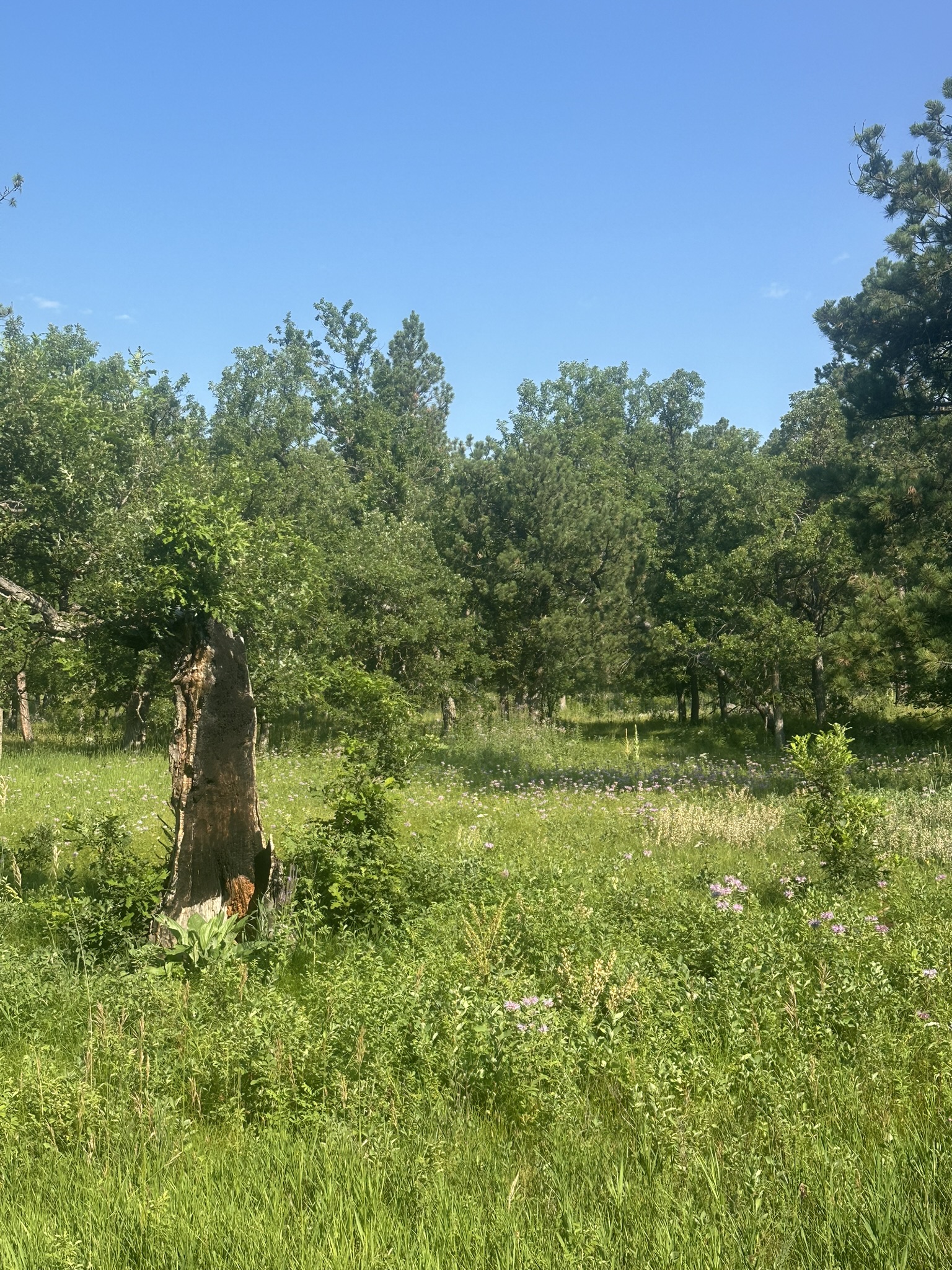 South Dakota - Image 58